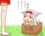  :3 animal_ears box cat_ears cat_tail commentary_request for_adoption hairband in_box in_container japanese_clothes kantai_collection kemonomimi_mode long_hair multiple_girls pleated_skirt red_skirt sandals sento_(iroiro_gottani) shoukaku_(kantai_collection) skirt tail translated white_hair white_legwear 