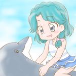  :d blue_eyes blue_hair blush braid child commentary_request dolphin go!_princess_precure kaidou_minami one-piece_swimsuit open_mouth precure riding short_hair smile swimsuit tina_(go!_princess_precure) yoshimi50 younger 