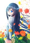  arms_behind_back bad_id bad_pixiv_id black_hair blue_eyes cowboy_shot flower long_hair looking_at_viewer looking_back nekobaka original petals poppy_(flower) smile solo wind 