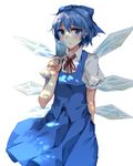  backlighting blue_eyes blue_hair cirno food gari_gari-kun hair_ribbon ice ice_wings looking_at_viewer popsicle puffy_short_sleeves puffy_sleeves ribbon rinarisa shirt short_sleeves skirt skirt_set solo touhou vest wings 