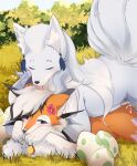 2024 absurd_res accessory alolan_form alolan_ninetales black_highlights black_nose blush bodily_fluids canid canine claws cum cum_drip digital_media_(artwork) dripping duo dusk_lycanroc egg eyelashes eyes_closed female feral flower flower_in_hair fluffy fluffy_tail fur generation_7_pokemon genital_fluids grass hair hair_accessory heart_symbol hi_res highlights_(coloring) hug hugging_another hugging_from_behind inner_ear_fluff kyuu_(kyuukon) kyuukon licking licking_another licking_partner looking_at_egg lycanroc lying lying_on_grass lying_on_partner male male/female mammal multicolored_body multicolored_fur nintendo offscreen_sex on_front orange_body orange_fur plant pokemon pokemon_(species) pokemon_egg pussy_juice_on_egg raised_tail regional_form_(pokemon) shrub snout soulsong_(celestial_wolf) tail tongue tuft white_body white_fur