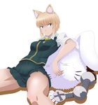  absurdres akou_(phoenix777) animal_ears blonde_hair brown_eyes cat_ears highres kuraishi_tanpopo solo thighs witch_craft_works 