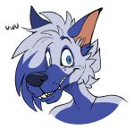 2023 anthro beastofeuthanasia blue_body blue_eyebrows blue_eyes blue_fur blue_hair blue_nose bust_portrait canid canine canis digital_drawing_(artwork) digital_media_(artwork) domestic_dog english_description eyebrows fangs female female_anthro finnish_spitz flat_colors fur grey_eyes hair heterochromia looking_at_viewer mammal miyma_mirja_pohjola multicolored_body multicolored_fur multicolored_hair portrait short_hair simple_background smile smiling_at_viewer solo spitz tan_inner_ear teeth toothy_smile two_tone_body two_tone_fur two_tone_hair uwu white_background white_body white_fur white_hair