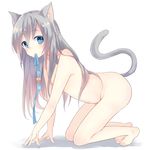  all_fours animal_ears bad_id bad_pixiv_id barefoot bell blue_eyes blush cat_ears cat_tail collar flat_chest full_body long_hair looking_at_viewer momoirone mouth_hold nude original ribbon silver_hair simple_background solo tail white_background 