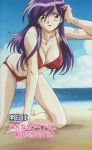  1girl 90s arigase_ryouko beach bikini blue_sky blush breasts cleavage collarbone erect_nipples iketeru_futari kneeling large_breasts leaning_forward long_hair looking_at_viewer ocean purple_eyes purple_hair red_bikini red_swimsuit sand screencap sky smile solo stitched swimsuit third-party_edit water 