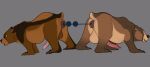 2024 5_fingers 5_toes all_fours anal anal_bead_pull anal_beads anal_beads_in_ass anal_penetration anal_tug_of_war anal_tugging anatomically_correct anatomically_correct_genitalia anatomically_correct_penis animal_genitalia animal_penis anus arm_markings aroused balls bear bear_ears bear_tail belly bestiality big_balls big_penis brown_arms brown_bear brown_body brown_ears brown_fur brown_hands brown_legs butt cheek_markings claws competition digital_drawing_(artwork) digital_media_(artwork) duo erection facial_markings feet feral feral_penetrated finger_claws fingers fur furry_tail genitals grizzly_bear hair head_markings hi_res kuruk_(character) leaning leaning_forward long_penis male male/male male_feral male_penetrated male_penetrating male_penetrating_male mammal mane mane_hair markings monochrome monotone_background multicolored_body multicolored_fur object_in_ass object_penetration open_mouth paws penetration penis plantigrade quadruped raised_tail round_ears scut_tail sendar sex sex_toy sex_toy_in_ass sex_toy_insertion sexual_competition short_ears short_tail side_view simple_background sketch small_ears tail tail_anus tan_balls tan_belly tan_body tan_fur thick_penis third-party_edit toe_claws toes tug_of_war ursidae ursine ursine_ears ursine_genitalia ursine_penis vein veiny_penis