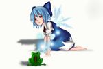  aeji_mashimaro blue_eyes blue_hair cirno frog short_hair the_embodiment_of_scarlet_devil touhou wings 