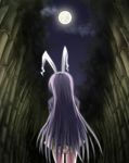  animal_ears arms_behind_back baerun bamboo bamboo_forest blazer bunny_ears forest full_moon jacket long_hair moon nature purple_hair reisen_udongein_inaba skirt solo touhou 