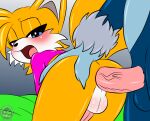 2_tails absurd_res anal anal_penetration anthro anthro_on_anthro anthro_penetrated anthro_penetrating anthro_penetrating_anthro anus ass_up backsack balls bed bed_sheet bedding big_penis blue_body blue_eyes blue_fur butt canid canine clothing doggystyle duo eulipotyphlan eyelashes femboy fox from_behind_position fur furniture genitals half-closed_eyes hand_on_butt hi_res interspecies larger_male looking_back looking_pleasured male male/male male_penetrated male_penetrating male_penetrating_male mammal miles_prower multi_tail narrowed_eyes open_mouth penetration penile penile_penetration penis penis_in_ass pink_penis pounding_ass sega sex sirjzau size_difference smaller_male smaller_penetrated sonic_the_hedgehog_(series) sonic_the_werehog sonic_unleashed tail thrust thrusting tongue topwear werecreature wereeulipotyphlan werehog yellow_balls yellow_body yellow_fur