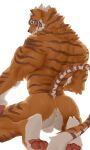 absurd_res anthro catn1p felid fur hi_res lin_hu male mammal nekojishi nude pantherine simple_background solo studio_klondike tail tiger