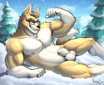 abs animal_genitalia anthro balls biceps big_balls big_sheath brown_body brown_fur canid canine canis clear_sky clothed clothing cloud cocky_smile domestic_dog evergreen_tree eyewear eyewear_only fangs flexing fur fuzziness genitals glasses glasses_only green_eyes herding_dog hi_res light looking_at_viewer lying lying_on_snow male mammal mountain muscular muscular_chest muscular_legs muscular_male navel nipples nude on_side pastoral_dog pine_tree plant sheath signature sky smile smiling_at_viewer snow solo sunlight tail teeth toothy_grin tree underwear underwear_only vein veiny_muscles wearing_glasses welsh_corgi white_body white_fur yellow_body yellow_fur