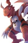 2025 2:3 3_fingers anthro bandai_namco biped black_body black_scales black_tail claw_fingers claw_toes claws digimon digimon_(species) featureless_chest featureless_crotch feet fingers guilmon hi_res looking_at_viewer looking_down looking_down_at_viewer male male_anthro multicolored_body multicolored_scales multicolored_tail open_mouth open_smile plantigrade pupils quads red_body red_scales red_tail red_tongue rumine scales scalie shaded sharp_teeth smile snout solo tail tapering_tail teeth tongue white_body white_claws white_scales white_tail yellow_eyes