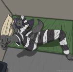 anthro bed bored bunk_bed canid canine female furniture hi_res mammal paws prison prison_uniform prisoner raised_leg ruanshi solo