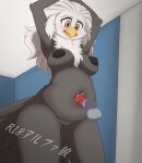 2025 4th_of_july accipitrid accipitriform animal_genitalia animal_penis anthro anthro_focus anthro_penetrated anthrofied areola avian bald_eagle balls beak belly belly_focus belly_fucking belly_humping bellyjob big_belly big_breasts bird black_areola black_body black_feathers black_fur black_nipples blush bodily_fluids breasts canine_genitalia canine_penis chest_tuft countershade_torso countershading cum cum_in_navel cum_in_vagina cum_inside cum_on_vulva cumshot curvy_figure deep_navel detailed_navel digital_media_(artwork) disembodied_penis duo eagle ejaculation embarrassed faceless_character faceless_male feathers female female_anthro female_focus female_penetrated fluffy fur genital_fluids genitals hair hi_res holidays humping inside interspecies japanese_text kemono larger_female larger_penetrated long_hair looking_down male male/female male_penetrating male_penetrating_female mature_anthro mature_female miss_america_(garuda_six) multicolored_body navel navel_blush navel_fetish navel_focus navel_penetration navel_play navel_poke navel_rim neck_tuft nipples nude overweight penetration penis penis_in_navel r18alphawolf sea_eagle sex size_difference slightly_chubby slightly_chubby_anthro slightly_chubby_female solo_focus tail tail_feathers text tongue tuft unusual_penetration vaginal vaginal_fluids vulva watermark white_body white_fur white_hair yellow_beak yellow_body yellow_eyes