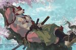 anthro beard canid canine cherry_blossom cherry_blossom_tree cherry_tree destroycode digital_drawing_(artwork) digital_media_(artwork) digital_painting_(artwork) eyebrows facial_hair flower fruit_tree fur hair hi_res katana male mammal melee_weapon muscular muscular_anthro muscular_male nipples painting_(artwork) pecs plant prunus_(flower) solo sword tree weapon