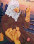 4th_of_july 5_fingers 5_toes abs absurd_res accipitrid accipitriform afternoon american_flag anthro avian bald_eagle balls barazoku barefoot beak big_penis bird blue_eyes breasts brown_body brown_feathers brunisdraws city city_background city_skyline claws eagle feathers featureless_breasts featureless_crotch feet fingers foot_fetish full-length_portrait genitals hi_res holidays humanoid humanoid_feet humanoid_genitalia humanoid_hands humanoid_penis male muscular muscular_anthro muscular_male muscular_thighs nude nude_male pecs penis plantigrade portrait scar sea_eagle soles tail tail_feathers toes united_states_of_america white_body white_feathers yellow_body yellow_skin