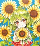  1girl blush commentary_request flower green_hair hair_between_eyes highres kazami_yuuka long_sleeves medium_hair plaid_clothes plaid_skirt plaid_vest red_eyes red_skirt red_vest shirt skirt smile solo sunflower tatuhiro touhou vest white_shirt 
