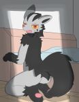 2025 3_fingers 3_toes absurd_res after_transformation ambiguous_gender anthro bedroom biped black_body black_fur black_inner_ear black_markings butt colored feet fingers fur generation_3_pokemon gloves_(marking) grey_body handpaw hi_res implied_transformation japanese_description kneeling leg_markings looking_at_viewer looking_back looking_back_at_viewer markings mightyena nintendo nude open_mouth pawpads paws pink_pawpads pokemon pokemon_(species) rear_view red_eyes red_nose root_doggie shaded shadow slight_blush snout socks_(marking) solo three-quarter_view toes yellow_sclera