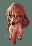 anthro avian avian_feet balls beak big_penis bird erection falcon falconid feathers femboy genitals half-erect hand_on_hip hi_res high-angle_view humanoid_genitalia humanoid_penis male penis peregrine_falcon shybird smile smiling_at_viewer smirk smirking_at_viewer smug smug_face smug_grin solo thick_penis vein veiny_penis wide_hips
