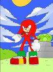  anthro dreamcastzx echidna knuckles_the_echidna male mammal monotreme solo sonic_(series) 