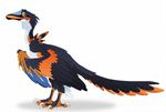 2015 ambiguous_gender archaeopteryx avian black_feathers blue_feathers dinosaur dnk-anais feathers feral looking_at_viewer orange_feathers plain_background raptor solo white_background 