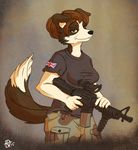  annabelle_chambers border_collie brown_eyes brown_hair canine clothed clothing dog female gun hair hair_bun mammal ranged_weapon rifle scope solo struggler union_jack weapon 