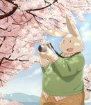  anthro camera cheek_tuft cherry_blossom chubby clothed clothing english_text fur hi_res lagomorph male mammal mountain open_mouth outside pants photographer plaid rabbit shirt sky smile solo text tree tuft whiskers white_fur zuppu11 