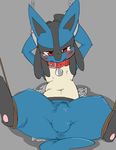  arms_behind_head black_fur blue_fur blush bound bulge chain chest_tuft clothing collar feral fur grey_background hindpaw lucario male nintendo pants paws plain_background pok&eacute;mon red_eyes rope shackles solo spikes spread_legs spreading tears tenting tuft video_games wet_spot white_fur yatosuke 