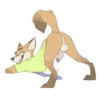 2015 all_fours anthro anus ass_up backsack balls black_nose bottomless brown_fur butt canine claws clothed clothing disney dragondrawer erection fox fur green_eyes half-dressed humanoid_penis looking_back male mammal multicolored_fur nick_wilde open_mouth penis perineum plain_background precum presenting presenting_hindquarters raised_tail shirt solo tongue tongue_out white_background zootopia 