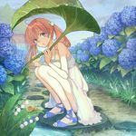  ahoge bare_shoulders blue_eyes blue_footwear bunny_hair_ornament chieri06 day dress flower full_body hair_ornament hairclip house hydrangea leaf_umbrella legs lily_of_the_valley long_hair looking_at_viewer orange_hair original outdoors path plant puddle rain road sandals shoes sky sleeveless sleeveless_dress snail solo squatting stepping_stones sundress twintails white_dress 