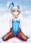  anastasia_(idolmaster) animal_ears blue_eyes breasts bunny_ears bunnysuit idolmaster idolmaster_cinderella_girls pantyhose short_hair silver_hair sitting small_breasts solo wariza zen 