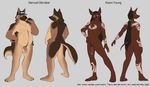  amber_eyes anthro avoid_posting balls blue_eyes butt canine chubby conditional_dnp duo flaccid fur hair hat humanoid_penis jackal keoni_young long_hair male mammal model_sheet nipples nude penis plantigrade samuel_gibraltar scappo security standing 