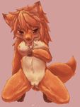  breasts canine dog hair kemono long_hair mammal nipples orange_hair pussy red_eyes wahitouppe 