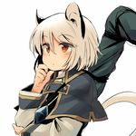  animal_ears brown_eyes capelet dowsing_rod gem hand_on_own_chin mouse_ears mouse_tail nazrin silver_hair solo tail touhou upper_body yudepii 