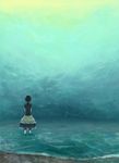  aqua beach black_hair braid clona commentary_request cross from_behind looking_afar original skirt solo standing surreal wading water 