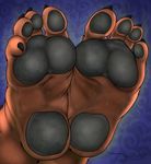  2015 4_toes anthro bear brown_fur chubby claws faceless_male feet foot_focus fur goody2toad hindpaw jaywolfsky male mammal pawpads paws soles solo toe_claws toes 