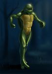  anthro kappa latex_(artist) male reptile rubber scalie transformation turtle 