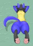  2015 anus bed blue_fur butt canine female fur jackal lucario mammal nintendo nude pawpads paws pok&eacute;mon pussy selixjackal solo video_games yellow_fur 