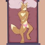  bed blush bulge canine clothing fox fox_mccloud koorivlf_(artist) male mammal nintendo panties solo star_fox underwear video_games 