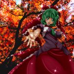  autumn front_ponytail green_eyes green_hair hair_ribbon kagiyama_hina leaf ribbon short_hair solo touhou umigarasu_(kitsune1963) 