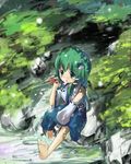  bad_id bad_pixiv_id barefoot bug child dragonfly feet insect kochiya_sanae sitting soaking_feet solo sunyukun touhou water 