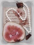  1954love_hate blood blood_stain commentary english_commentary fangs food french_text from_above fruit highres jewelry lipstick_mark necklace no_humans object_focus original pearl_necklace teeth translation_request wilted_flower 