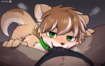 16:10 adrian_(snowstormbat) anthro bedroom_eyes bodily_fluids brown_body brown_hair bulge bulge_in_mouth bulge_suck collar cute_fangs drooling duo fangs first_person_view fur green_collar green_eyes hair half-closed_eyes hands_on_legs hands_on_thighs hi_res intimate light_body looking_at_viewer male male/male mammal mischievous_smile mustelid narrowed_eyes navel oral oral_through_clothing otter playful_expression playful_face saliva seductive snowstormbat sweat sweaty_face sweaty_legs tan_body tan_hair teeth through_underwear white_body white_fur white_hair widescreen