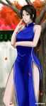  autumn_leaves between_fingers black_hair blue_dress breasts china_dress chinese_clothes dead7open dress hair_over_shoulder highres hong_xiu_ying leaf long_hair low_ponytail medium_breasts shenmue shenmue_ii side_slit solo 