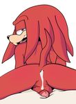  after_sex anthro anus balls butt cum cum_in_ass cum_inside echidna knuckles_the_echidna looking_at_viewer looking_back male male/male mammal maychin monotreme open_mouth penis presenting presenting_hindquarters smile solo sonic_(series) spread_legs spreading tongue uncut 