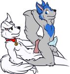  2015 anal anatomically_correct animal_genitalia anthro balls blue_fur blue_hair blue_penis bolt bolt_(film) bolt_character butt canine canine_penis character_from_animated_feature_film collar disney dog ears_back erection fluffy fur german_sheperd german_shepherd grey_fur hair invalid_tag knot male male/male mammal nude on_top paws penis plain_background red_penis reverse_cowgirl_position sex sheath white_fur white_german_shepherd wolf 