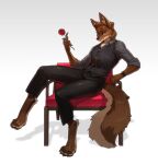 2026 absurd_res anthro biped bottomwear canid canine claws clothed clothed_anthro clothed_male clothing digital_drawing_(artwork) digital_media_(artwork) feet fingers front_view fully_clothed fully_clothed_anthro fully_clothed_male fur hair hi_res male mammal pgm300 simple_background sitting smile solo tail toes topwear