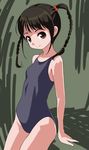  bad_id bad_pixiv_id black_hair braid brown_eyes hair_over_shoulder one-piece_swimsuit original rohitsuka school_swimsuit smile solo swimsuit twin_braids twintails 
