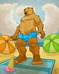  anthro beach bear belly black_nose body_hair brown_fur bulge chest_hair clothed clothing fur hairy k-9 male mammal overweight seaside solo 