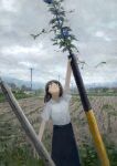  1girl arm_up black_hair black_skirt commentary day fjsmu flower highres holding looking_up morning_glory original outdoors overcast pole rice_paddy rural scenery shirt short_sleeves skirt sky solo standing white_shirt 